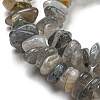 Natural Labradorite Chip Bead Strands G-M205-13-5