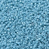 MIYUKI Delica Beads SEED-MY11-DB0217-3