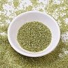MIYUKI Delica Beads X-SEED-J020-DB0124-2