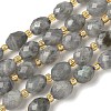 Natural Labradorite Beads Strands G-F809-A47-01-3