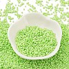 Baking Paint Glass Seed Beads X-SEED-S042-05B-65-2
