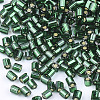 FGB Grade A Glass Seed Beads SEED-S022-04A-20-2