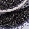 MIYUKI Round Rocailles Beads X-SEED-G009-RR2447-1