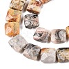 Natural Crazy Agate Beads Strands G-T138-164-3