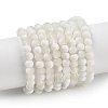 Frosted Crackle Glass Beads Strands GLAA-U001-4mm-M07-1