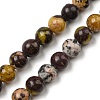 Natural Cherry Blossom Jasper Beads Strands G-C079-A02-03-1