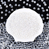 500Pcs Transparent Glass Seed Beads SEED-PA0001-08A-1
