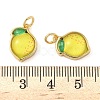 Brass Resin Pendants KK-C110-24F-G-3