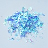 Plastic Candy Sequins/Paillette Chip X-DIY-I019-01J-2