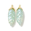 Rainbow Iridescent Plating Resin Pendants RESI-C047-03D-G-1