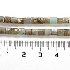 Natural Aqua Terra Jasper Beads Strands G-F765-F03-01-5
