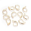 304 Stainless Steel Leverback Earrings Findings X-STAS-P227-47G-1