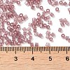 Transparent Glass Seed Beads SEED-S042-21B-03-4