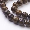 Natural Bronzite Beads Strands G-Q605-25-3
