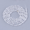 Transparent Glass Beads Strands GLAA-T009-004H-2