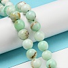 Natural Green Opal Beads Strands G-R494-A08-03-4