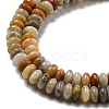 Natural Crazy Lace Agate Beads Strands G-K343-C04-02-4