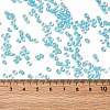 12/0 Transparent Glass Seed Beads SEED-F003-03C-10-4