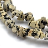 Natural Dalmatian Jasper Beads Strands X-G-P332-20-2