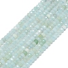 Natural Flower Amazonite Beads Strands G-G106-A16-01-1