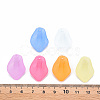 Transparent Frosted Acrylic Pendants MACR-S371-03A-5