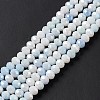 Ombre Effect Dyed Glass Beads Strands GLAA-C023-02A-6