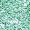 FGB 11/0 Grade A Baking Paint Glass Seed Beads SEED-S030-1036-2