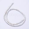 Natural Magnesite Bead Strands X-G-P286-10-6mm-2