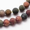 Matte Natural Polychrome Jasper/Picasso Stone/Picasso Jasper Beads Strands G-K113-03-4mm-2