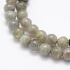 Natural Labradorite Beads Strands G-P322-33-6mm-3