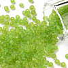 6/0 Glass Seed Beads X1-SEED-A008-4mm-M4-1