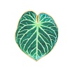 Leaf Shape Alloy Enamel Lapel Pins for Backpack Clothes JEWB-B037-02G-02-2