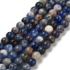 Natural Sodalite Beads Strands GSR6mmC013-1-1