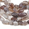 Natural Botswana Agate Nuggets Beads Strands G-B170-A01-4