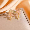 Valentine's Day 304 Stainless Steel & Clear Cubic Zirconia Stud Earrings WGA5FB3-03-1