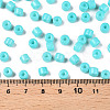 Opaque Baking Paint Glass Seed Beads SEED-T008-02O-5