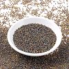 MIYUKI Round Rocailles Beads SEED-X0054-RR0357-2