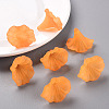 Transparent Acrylic Beads BSF796-C19-8
