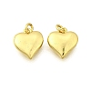 Brass Pendants KK-I275-10G-02-1