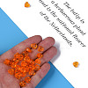 Transparent Acrylic Beads MACR-S373-95-B16-3