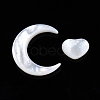 Natural White Shell Beads Sets SSHEL-N032-52B-02-2