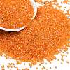 Electroplate Glass Seed Beads SEED-H003-10H-1