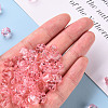 Transparent Acrylic Beads TACR-S154-15B-26-5