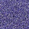 MIYUKI Delica Beads SEED-X0054-DB0250-3