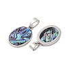 Rack Plating Natural Paua Shell Pendants KK-E059-18P-02-2