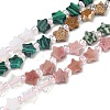 6 Styles Opalite & Synthetic Malachite & Natural Picture Jasper & Rhodonite & Green Spot Jasper & Dragon Blood Jasper Beads Strands G-D095-A03-2