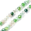 Electroplate Glass Beads Strands EGLA-yw0002-C02-3