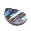 Natural Abalone Shell/Paua Shell Cabochons SSHEL-L017-002-2