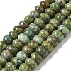 Natural Turquoise Beads Strands G-P506-03B-01-1