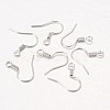 Iron Earring Hooks E133-NF-2